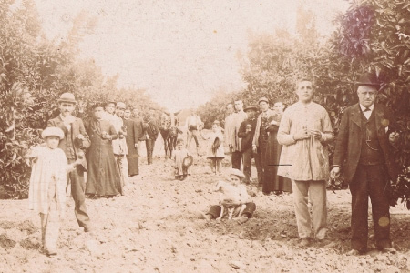 Hort del Rac. Vista de un huerto de naranjas en la zona del Rac. En primer plano a la derecha Francisco Monera paseando con unos amigos.