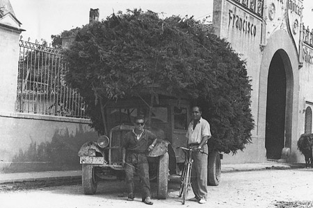 La leña baja, que fue durante muchísimos años el único combustible de los hornos, era transportada en carros, trenes y camiones desde las montañas cercanas a Manises. Foto del año 1951.